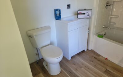 Bathroom Renovation Progress